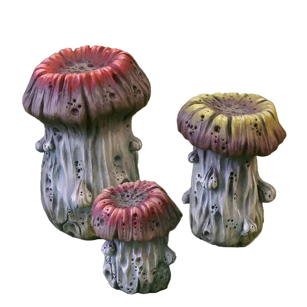 Tathea Cyst Fungus Set