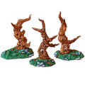 Enchanted Wood